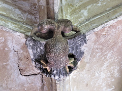 lacock abbey, wilts (131) double headed eagle, c15 cloister vaulting boss