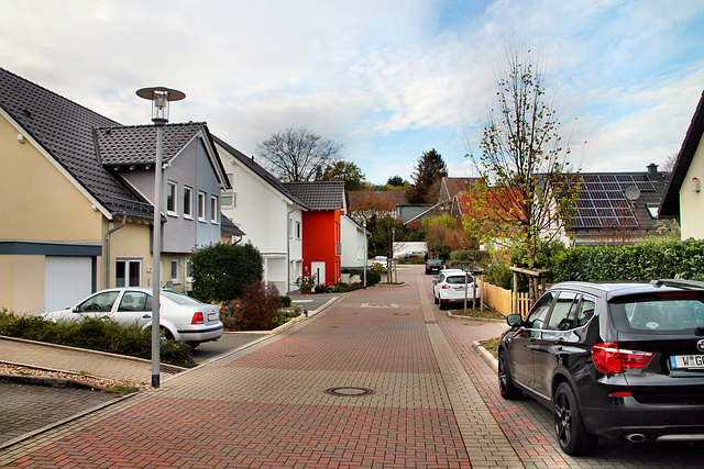 Herzkamper Mulde (Sprockhövel-Herzkamp) / 6.11.2022