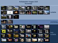Ambassador Images 2025, November