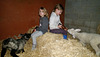 little Brennemans feeding little lambs
