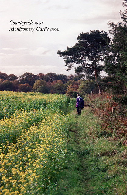 Countryside near Montgomery Castle (Scan from 1992)