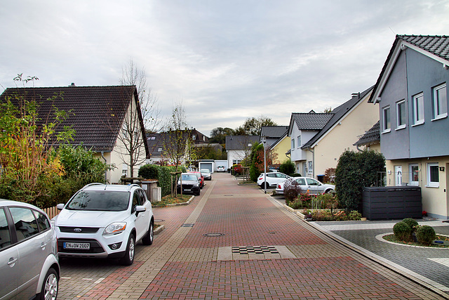 Herzkamper Mulde (Sprockhövel-Herzkamp) / 6.11.2022