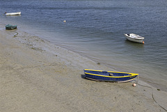 Solitaires. Solitaires.