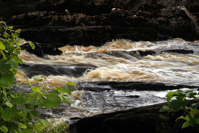 Wild river in Sneem