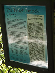 The Taughannock Giant