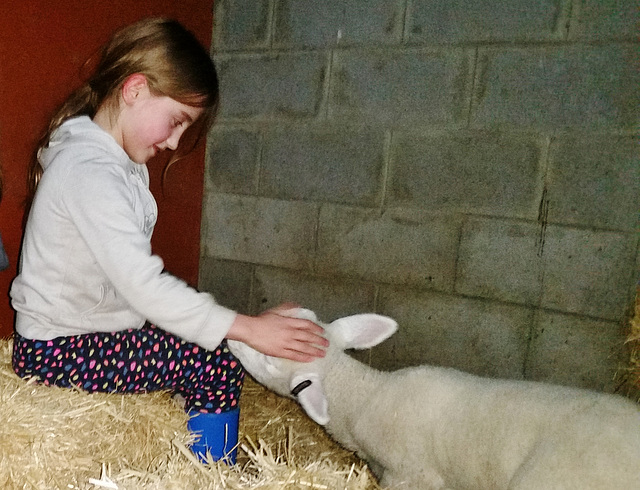 Eliza feeding Haggis