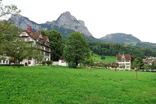 Schwyzer Alm