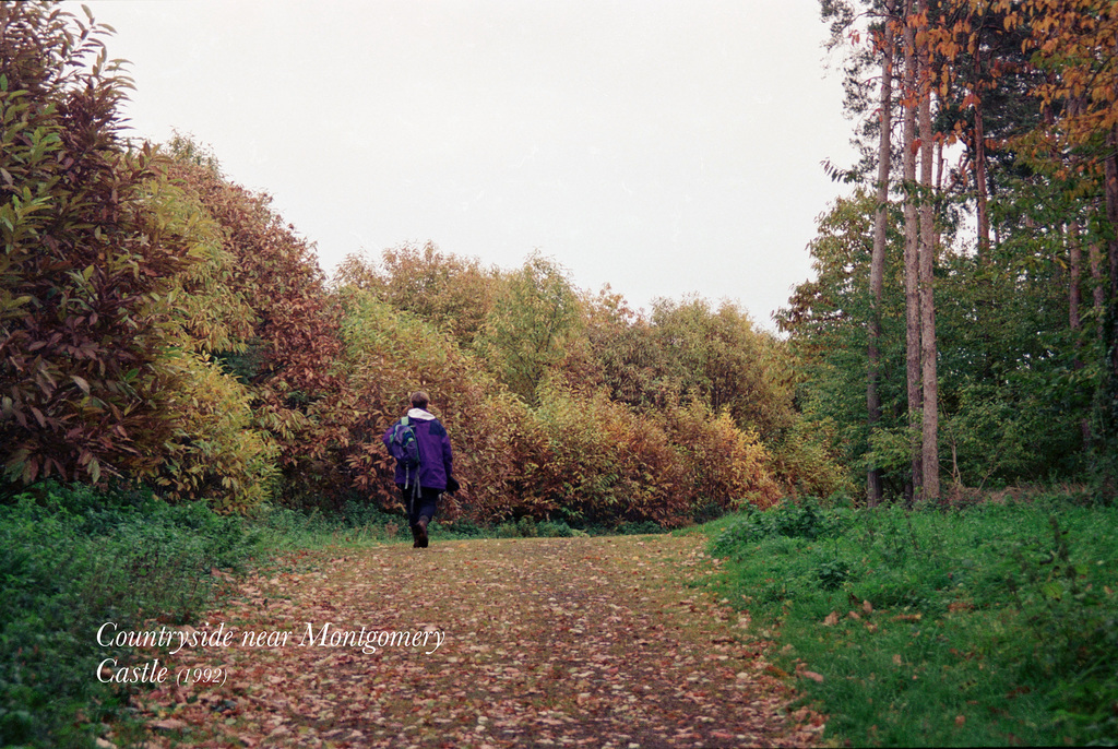 Countryside near Montgomery Castle (Scan from 1992)