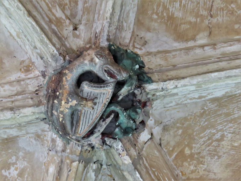 lacock abbey, wilts (132) beast playing harp,  c15 cloister vaulting boss