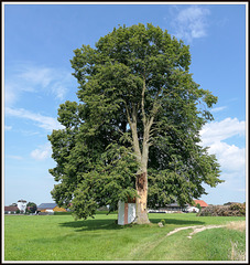 Langenthonhausen, Kapelle (PiP)