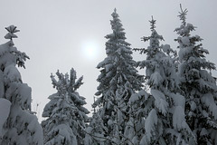 A Métabief (Doubs)