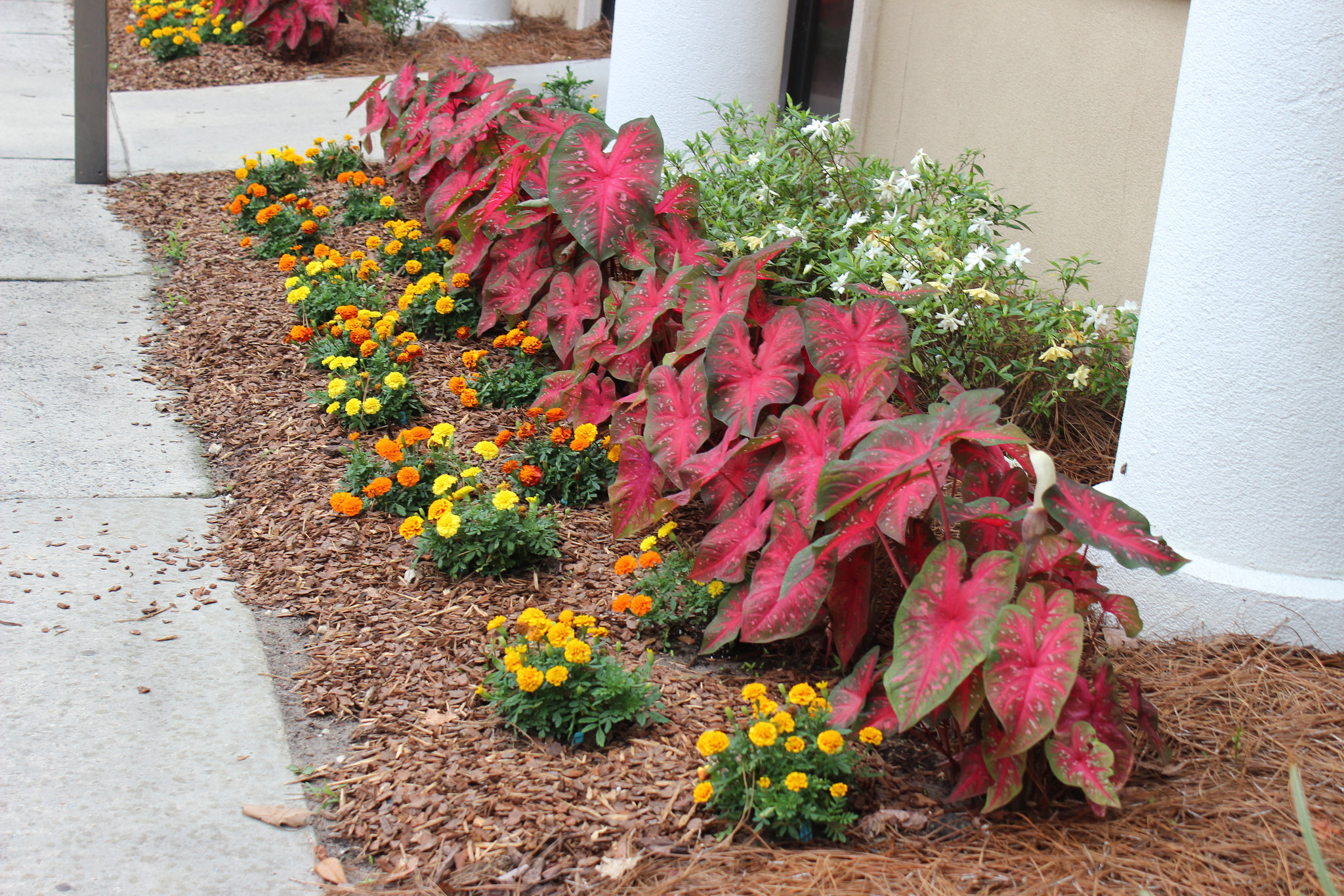 Lovely entrance to our Doctor's Building,  Savannah, Georgia