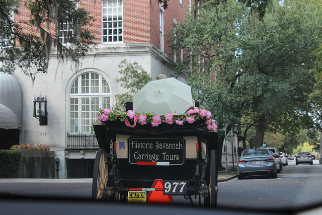 Historic Savannah Carriage Tours