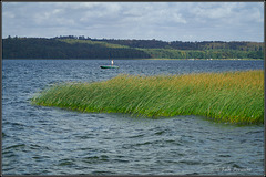 Angler am Tollensesee