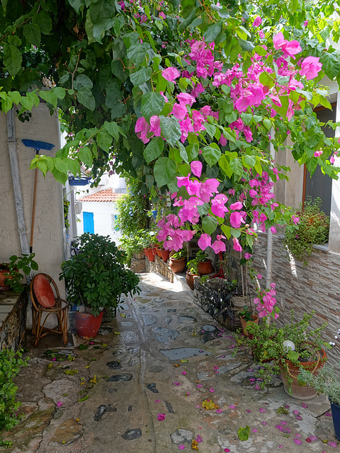 Narrow lane at the top of the town