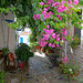 Narrow lane at the top of the town