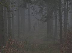 Zoigl | Somewhere Only We Know