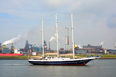 Sail 2015 – Eendracht