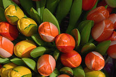 Elles ne se faneront pas Elles ne se faneront pas