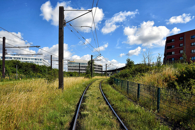 Fahrt durchs Grüne