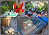 Berner Impressionen