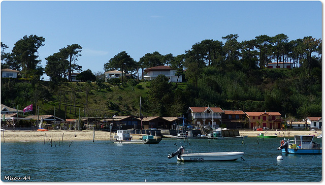 Lège Cap Ferret BLUE PLANET/PLANETE BLEUE