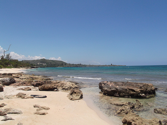 Rocky beach