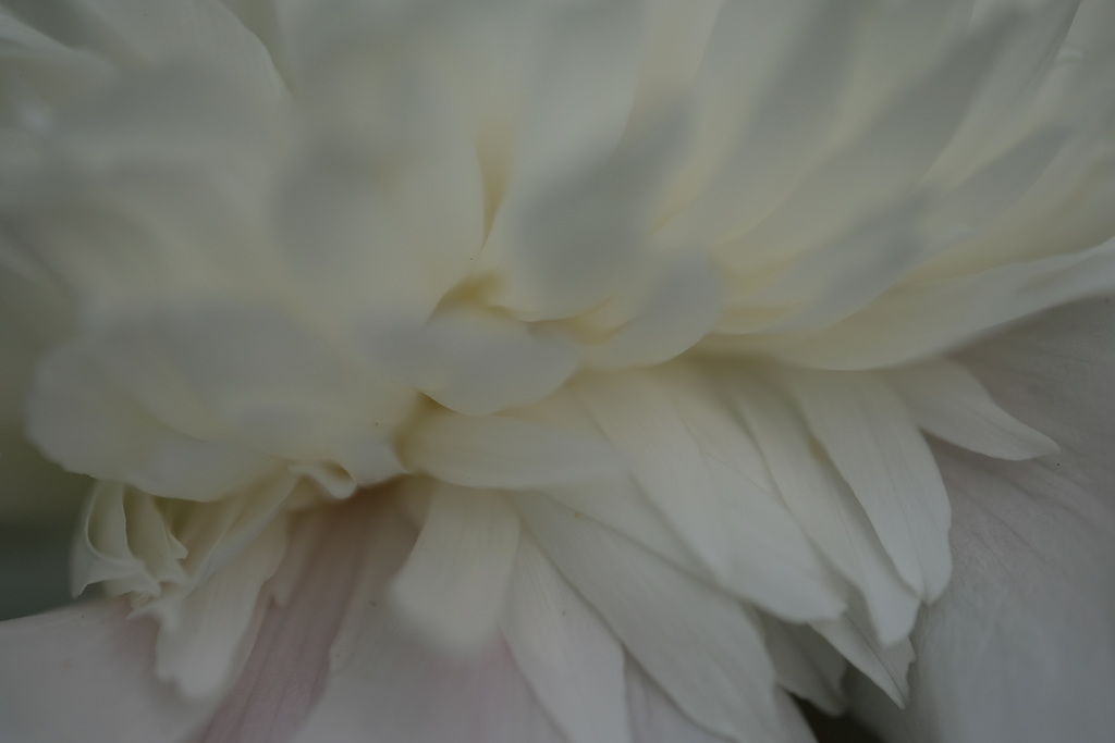 DSCF9684