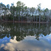 Last view of the pond in 2024