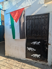 Chats et drapeaux/ Flag and cats