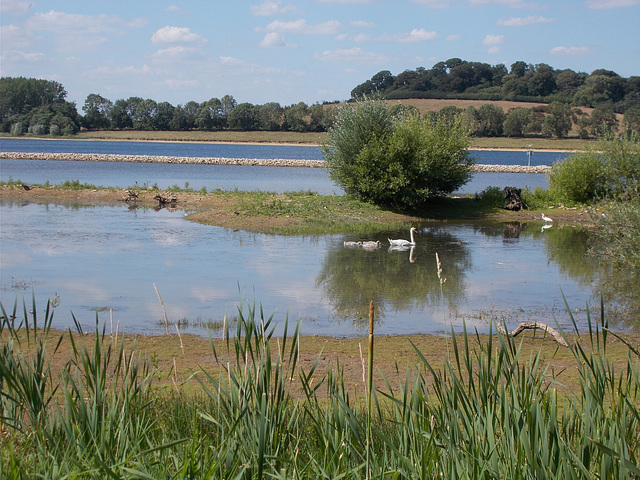 sds[25] - Rutland Water {1 of 2}