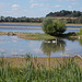 sds[25] - Rutland Water {1 of 2}