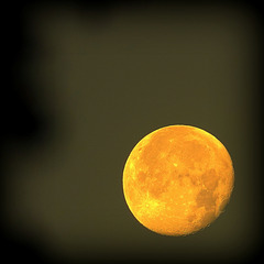 11/08/2025, 06h 28' 44" 11/08/2025, 06h 28' 44"