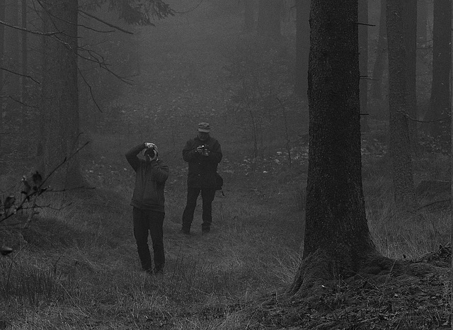 Zoigl | I Got You Babe