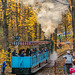 Auf schmaler Spur (600 mm) durch den Küchwald