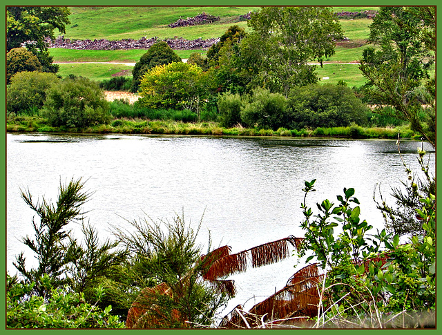 By the Lake.