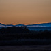 Bosque Del Apache at dawn3