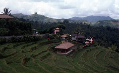 Reisfelder Treppen auf Bali