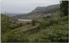 HWW ~ A summer walk.