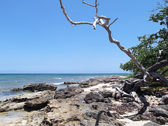 Plage rocheuse