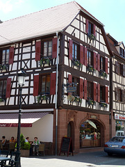 Die Stadt Wissembourg ist Hauptort (chef-lieu) des gleichnamigen Kantons und auch Mitglied und Sitz des Gemeindeverbandes Communauté de communes du Pays de Wissembourg.