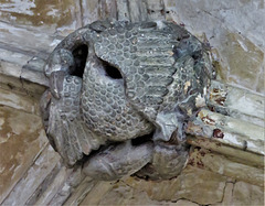 lacock abbey, wilts (81) swan and fish, c15 cloister vaulting boss