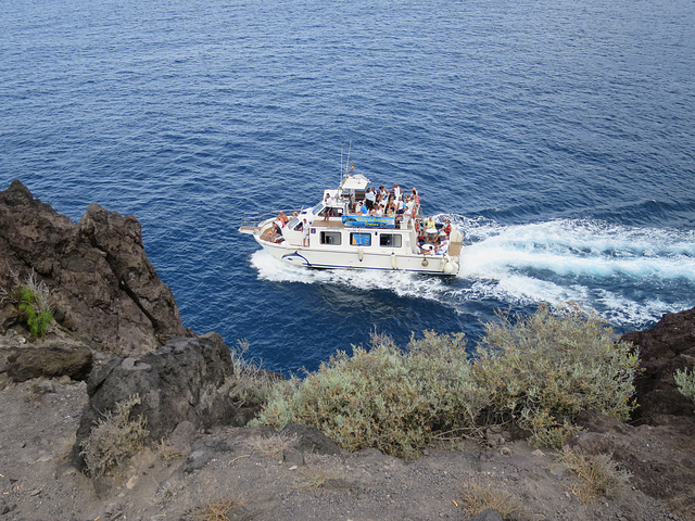 Whale watching