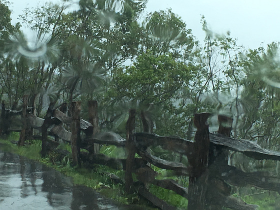 Impressionen bei Regen