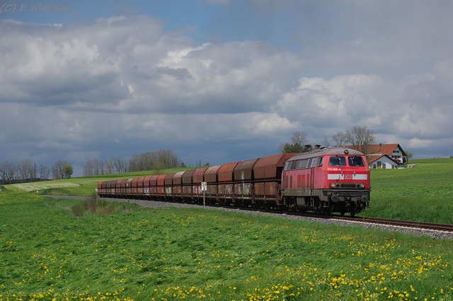 BÖ0010528