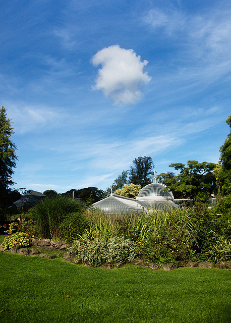 Kibble Palace, Glasgow Botanic Gardens