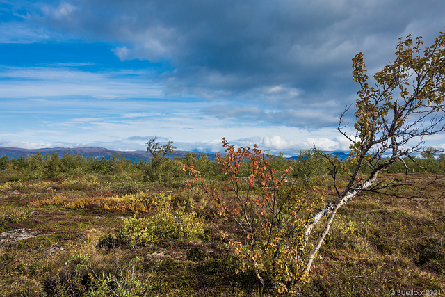 auf dem Njakajaure-Trail (© Buelipix)