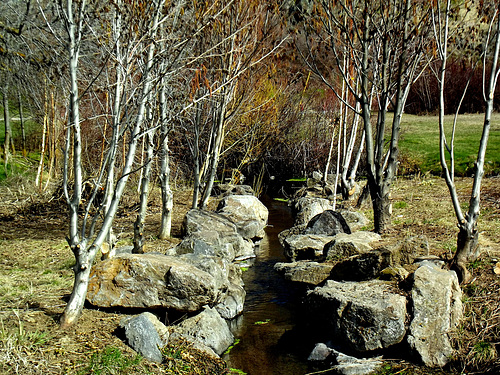 Outlet of Hagelstein Spring