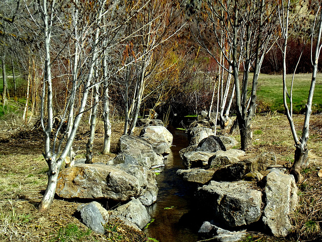 Outlet of Hagelstein Spring