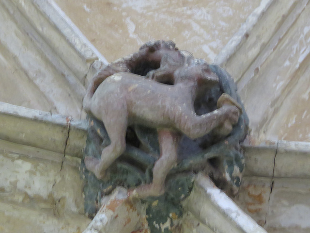 lacock abbey, wilts (83) c15 cloister vaulting boss